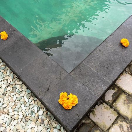 Buana Home Stay Ubud Exteriör bild